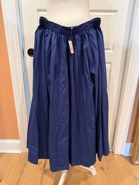 Free People NWT Blue Midi Skirt